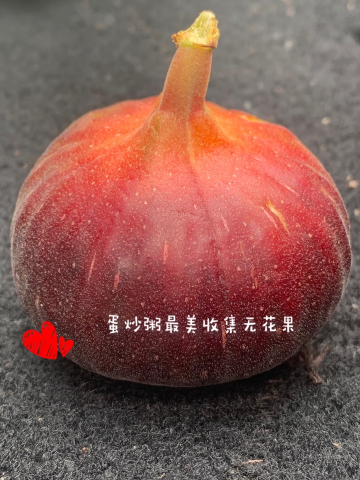 ҵ2021꣬ؼҿ7668 : 