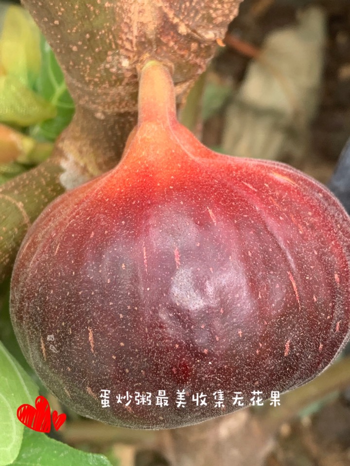 ҵ2021꣬ؼҿ7638 : 