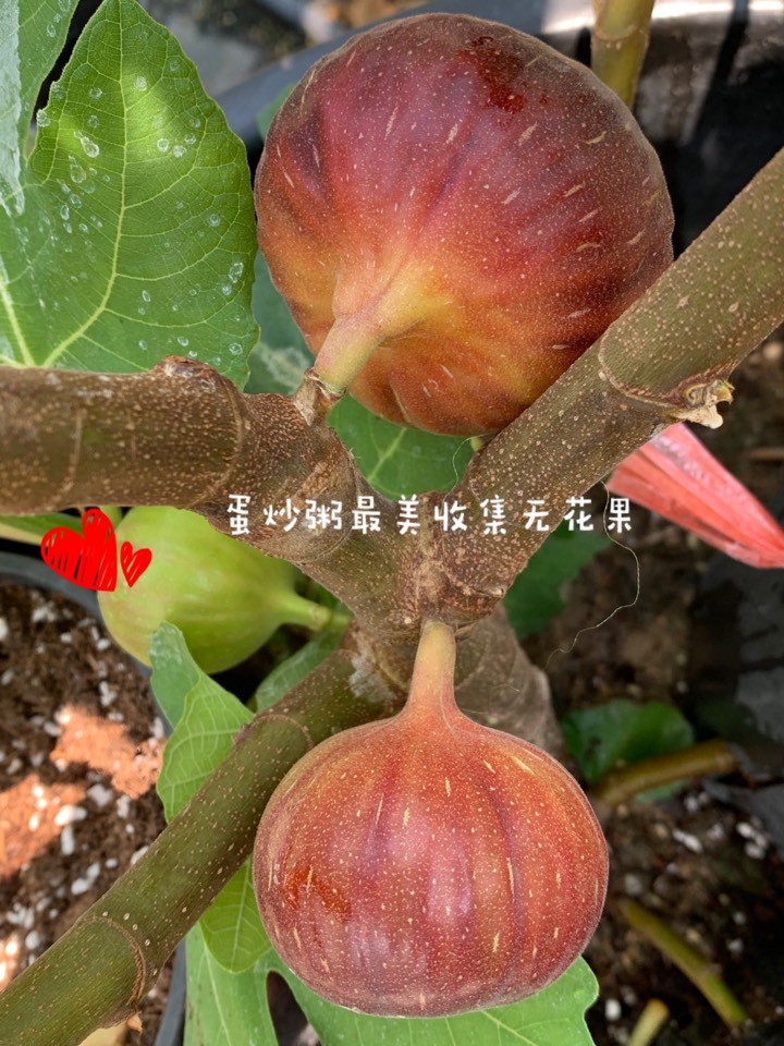 ҵ2021꣬ؼҿ1147 : 