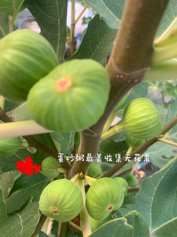 ҵ2021꣬ؼҿ5195 : 