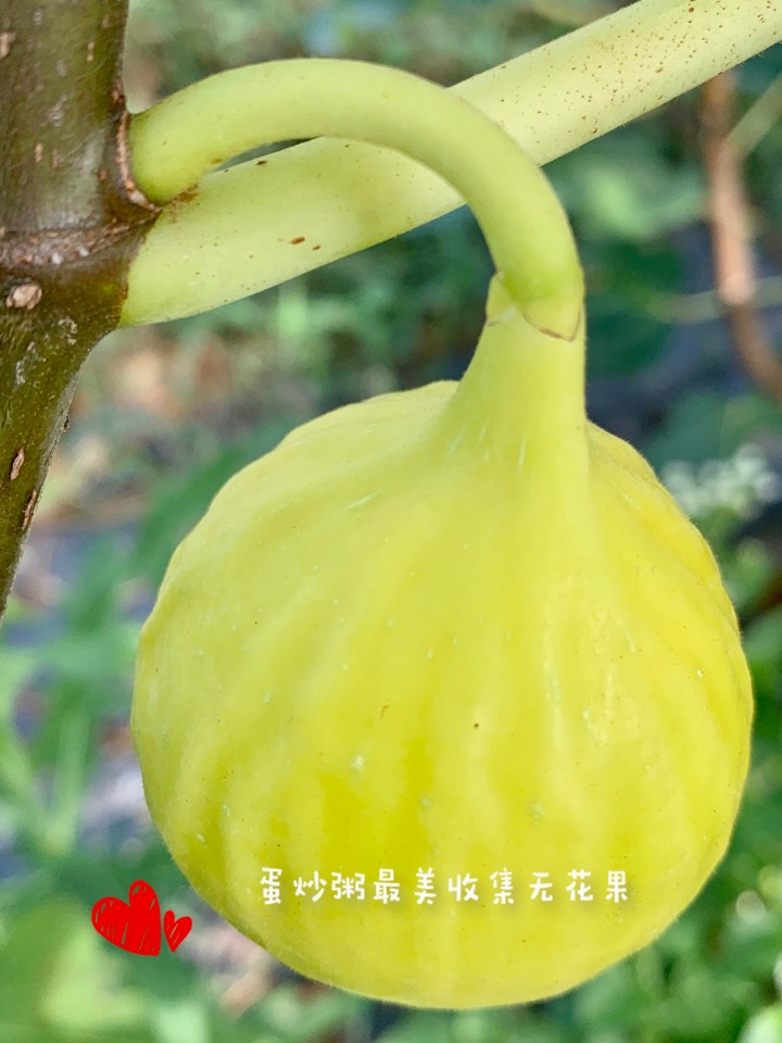 ҵ2021꣬ؼҿ3068 : 