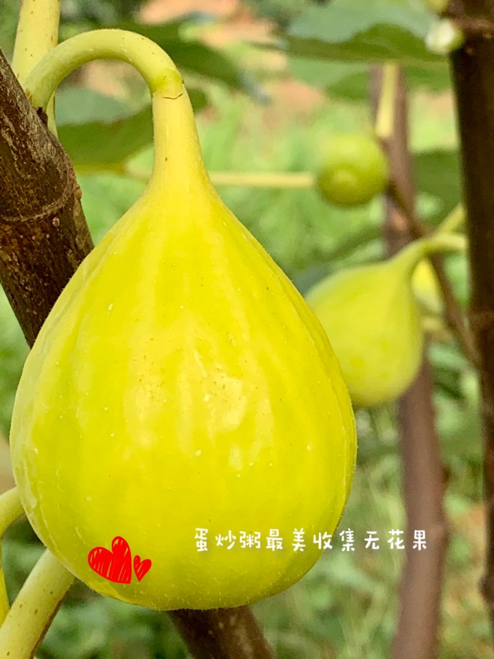 ҵ2021꣬ؼҿ3880 : 