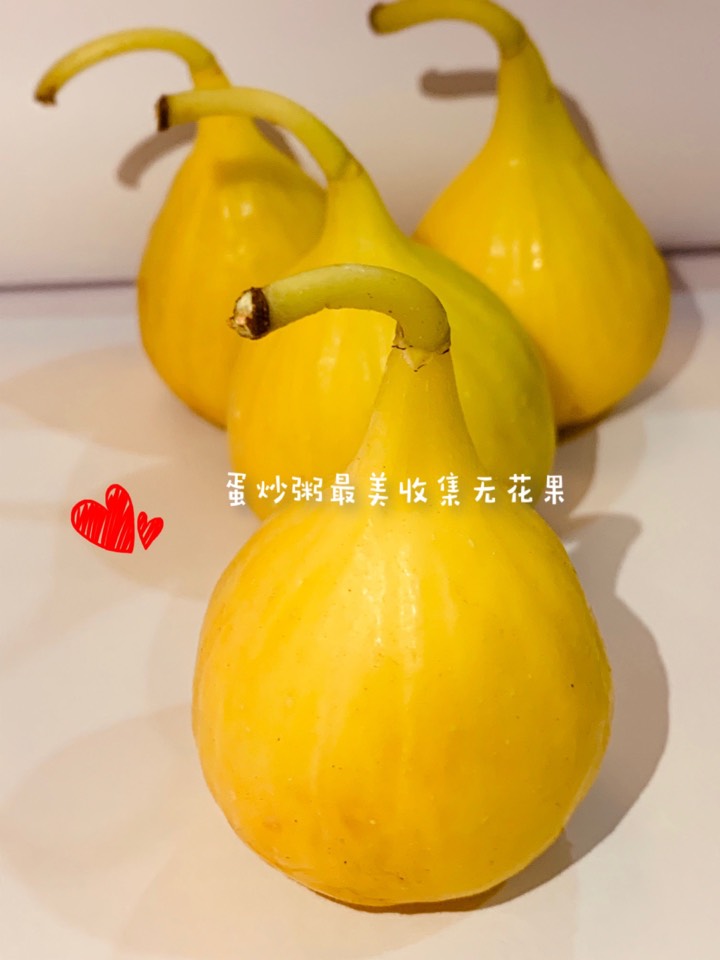 ҵ2021꣬ؼҿ5362 : 