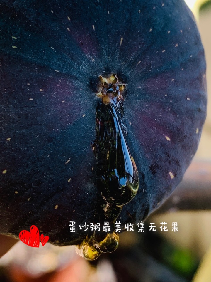 ҵ2021꣬ؼҿ729 : 