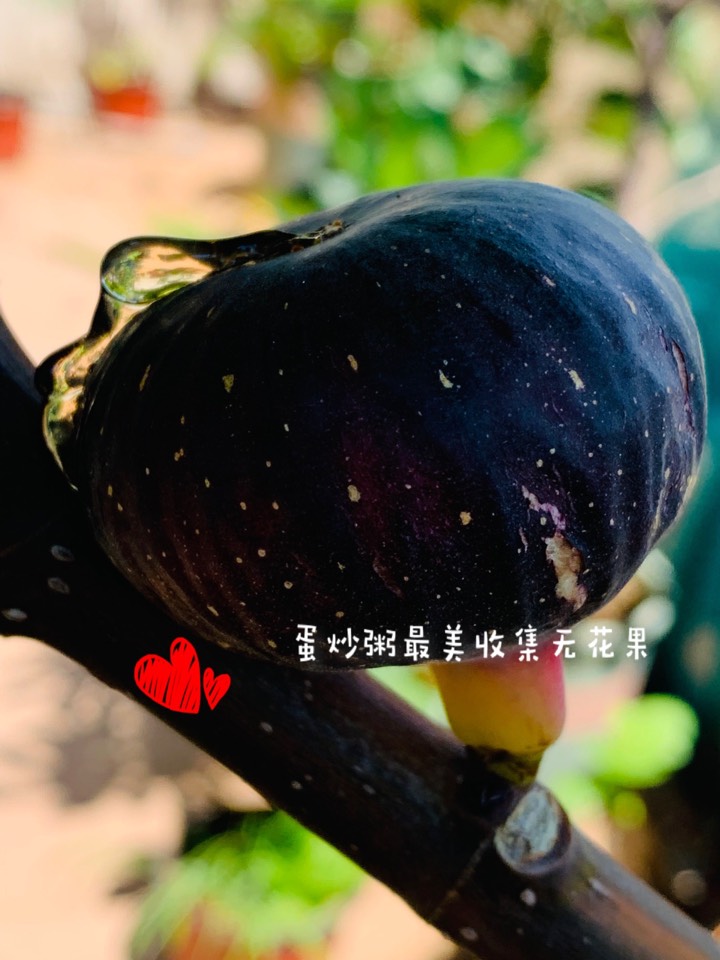 ҵ2021꣬ؼҿ1605 : 