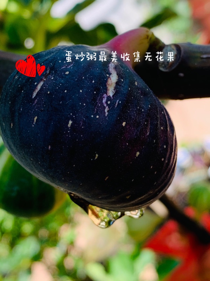 ҵ2021꣬ؼҿ3306 : 