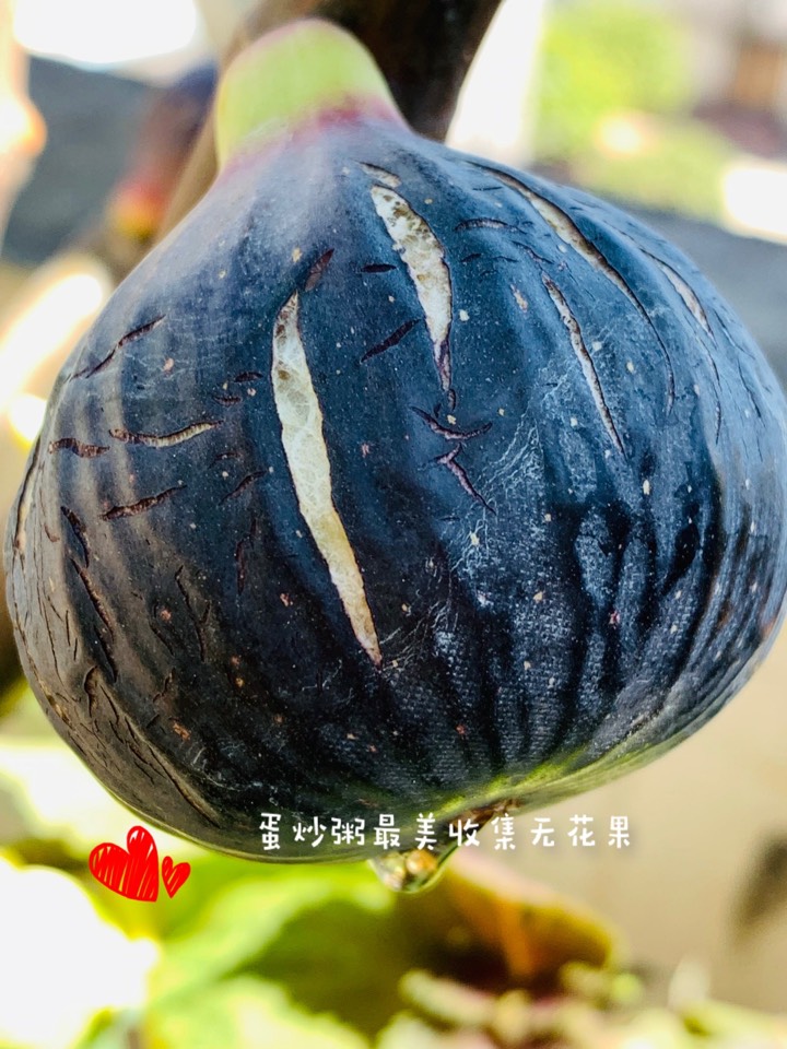 ҵ2021꣬ؼҿ7468 : 