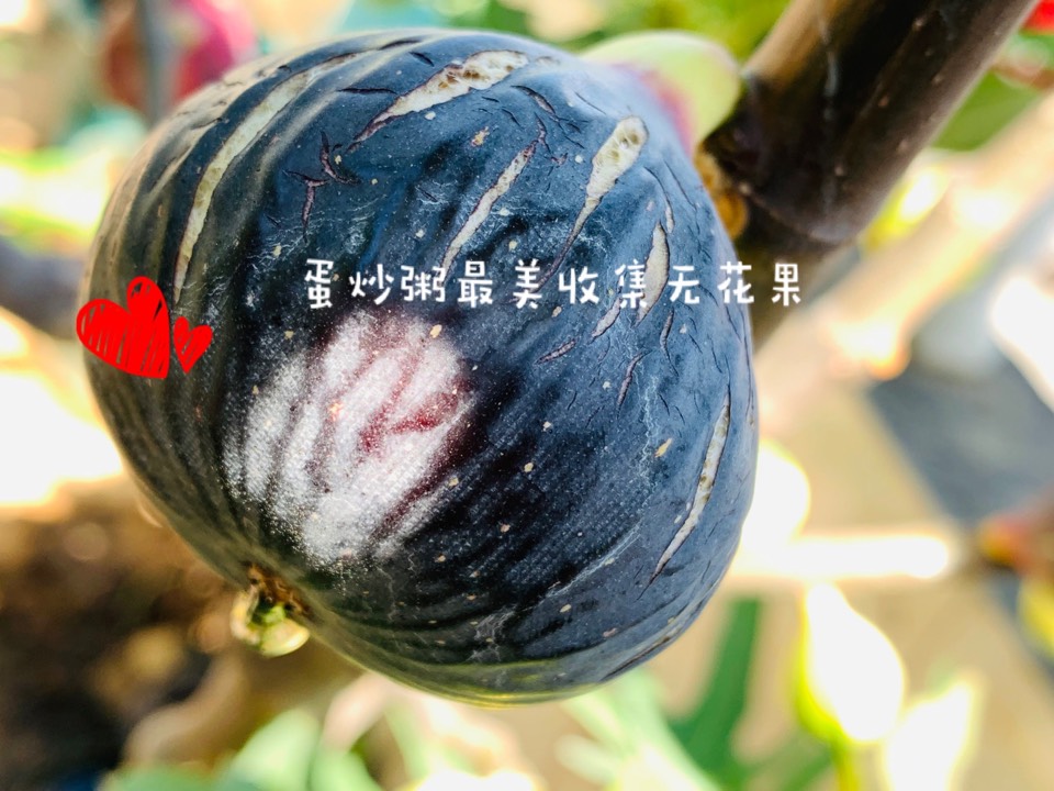 ҵ2021꣬ؼҿ9920 : 