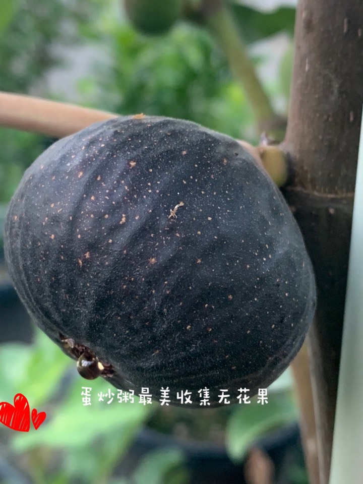 ҵ2021꣬ؼҿ4103 : 