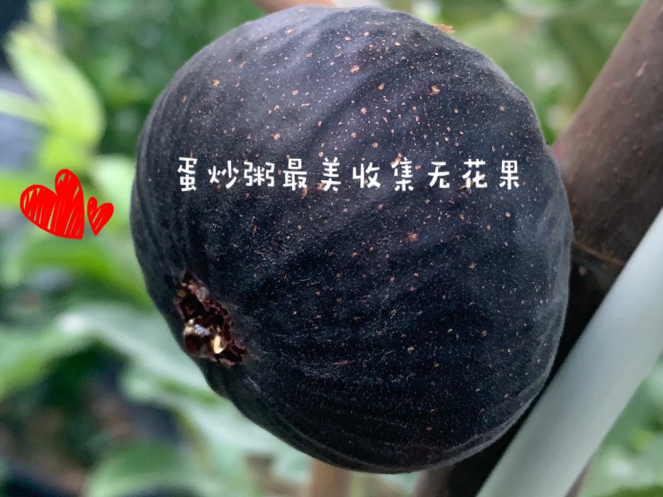ҵ2021꣬ؼҿ6476 : 