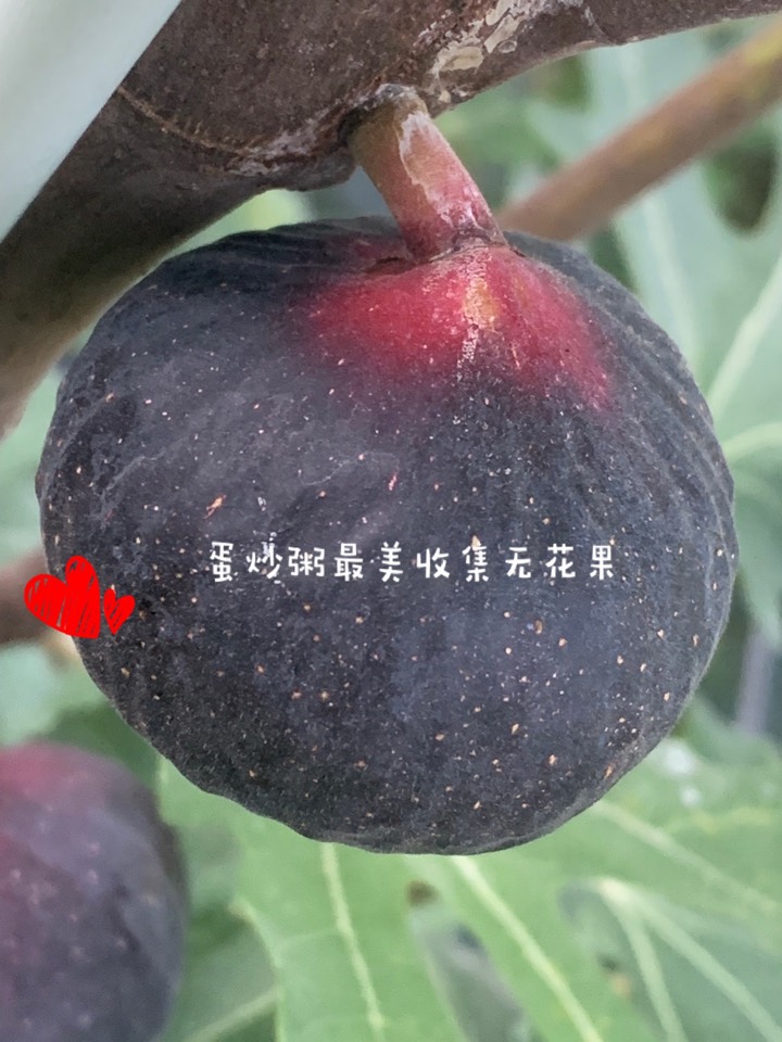 ҵ2021꣬ؼҿ2275 : 