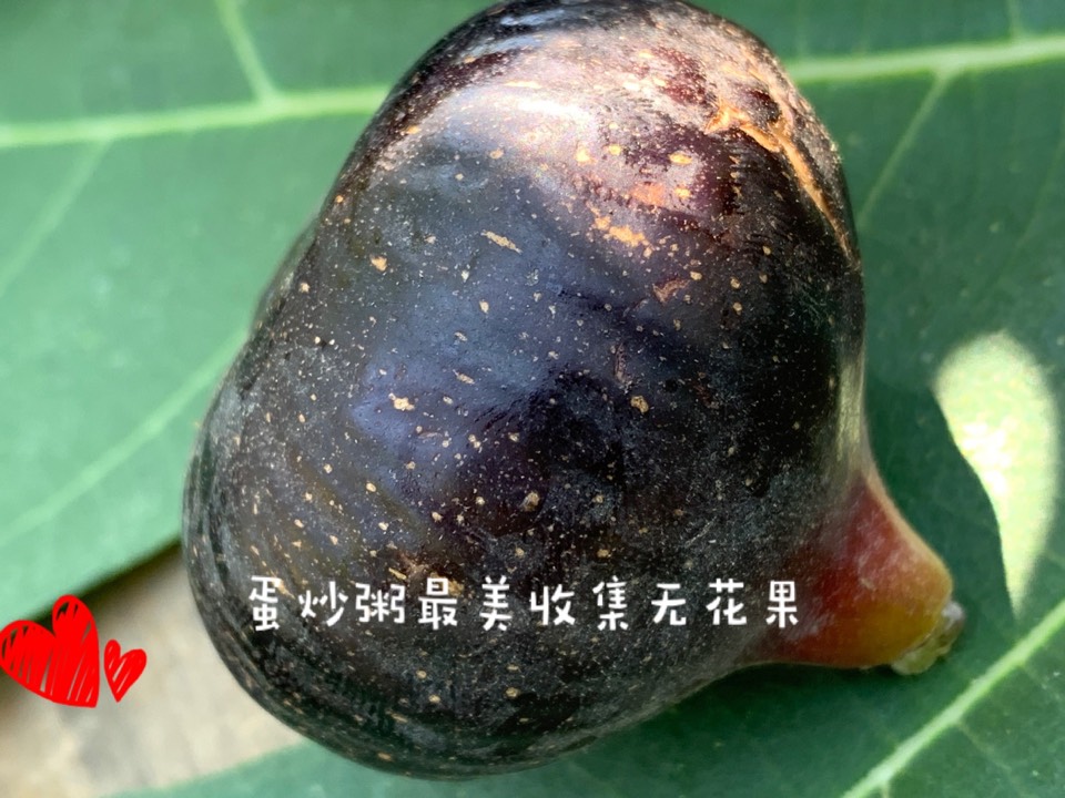 ҵ2021꣬ؼҿ6019 : 