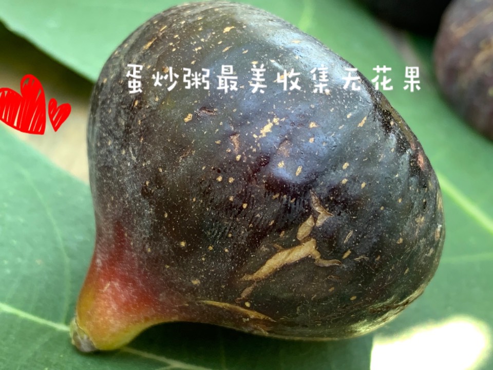 ҵ2021꣬ؼҿ4315 : 