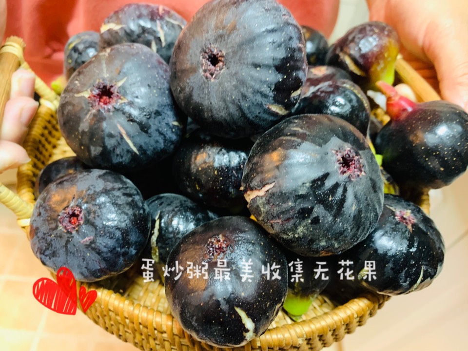 ҵ2021꣬ؼҿ5782 : 