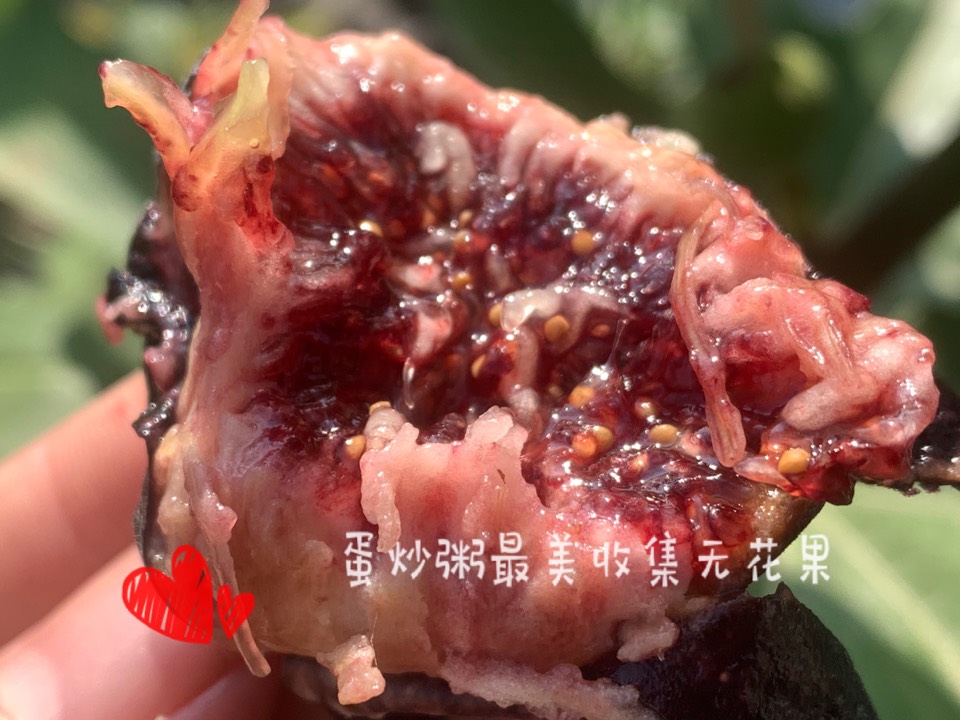 ҵ2021꣬ؼҿ2795 : 