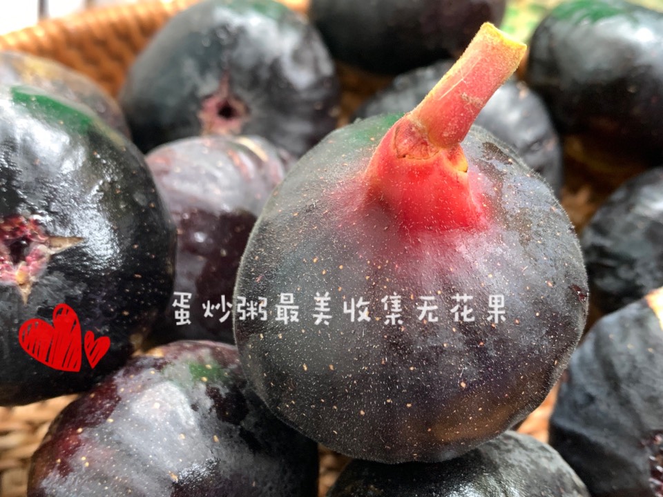 ҵ2021꣬ؼҿ6195 : 