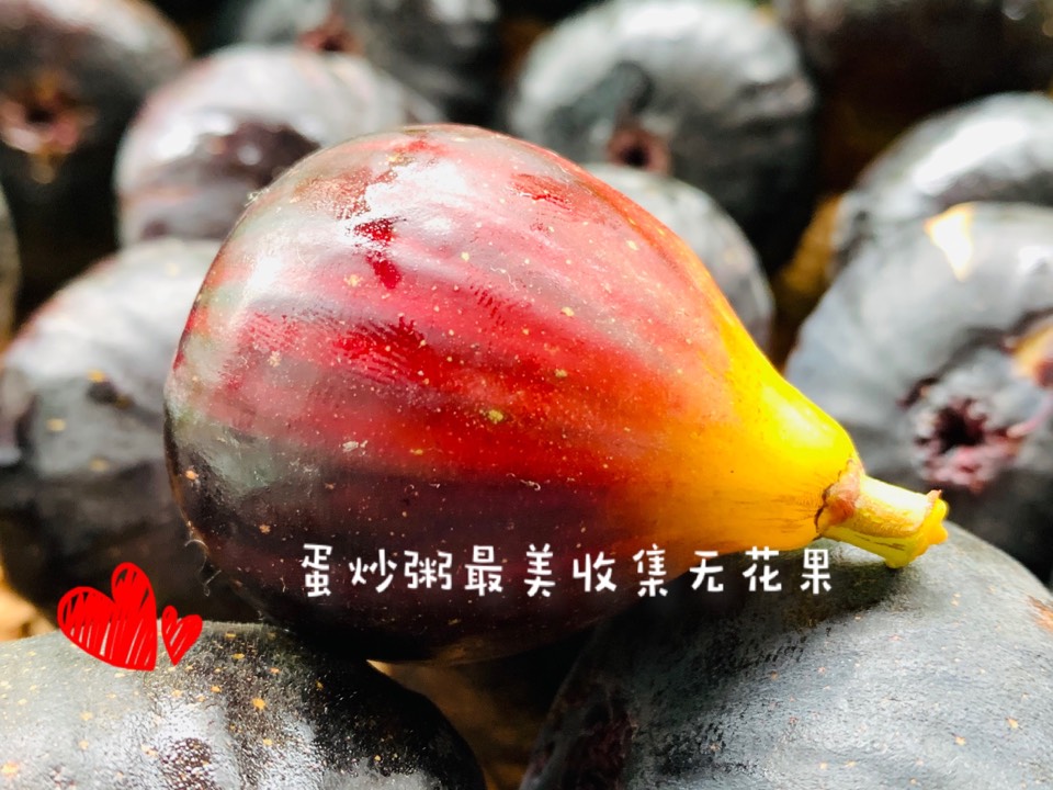 ҵ2021꣬ؼҿ1478 : 