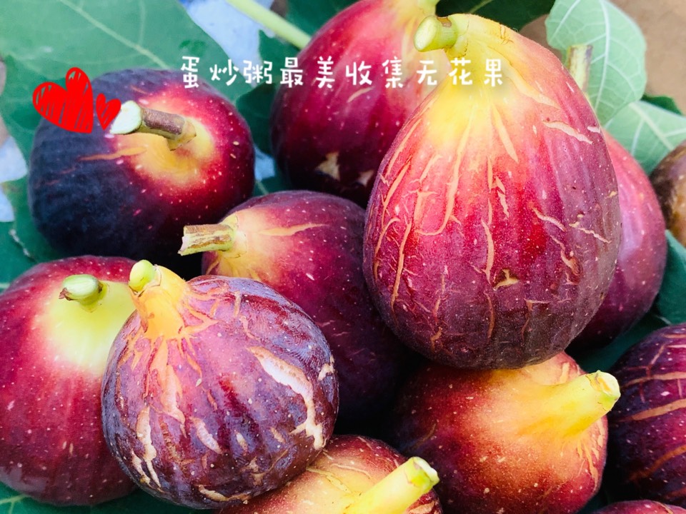 ҵ2021꣬ؼҿ1057 : 