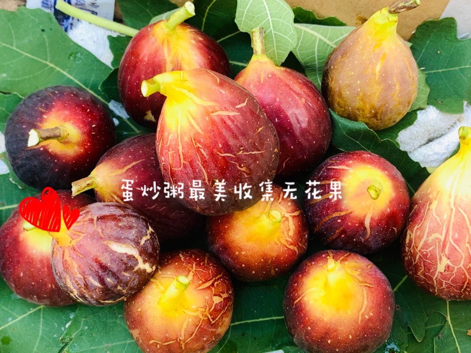 ҵ2021꣬ؼҿ2466 : 