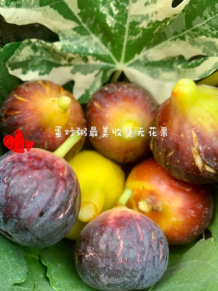 ҵ2021꣬ؼҿ6245 : 