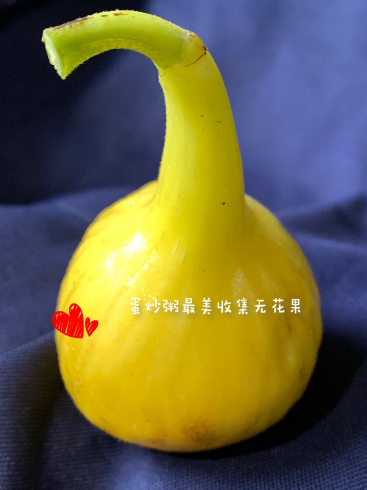 ҵ2021꣬ؼҿ6537 : 