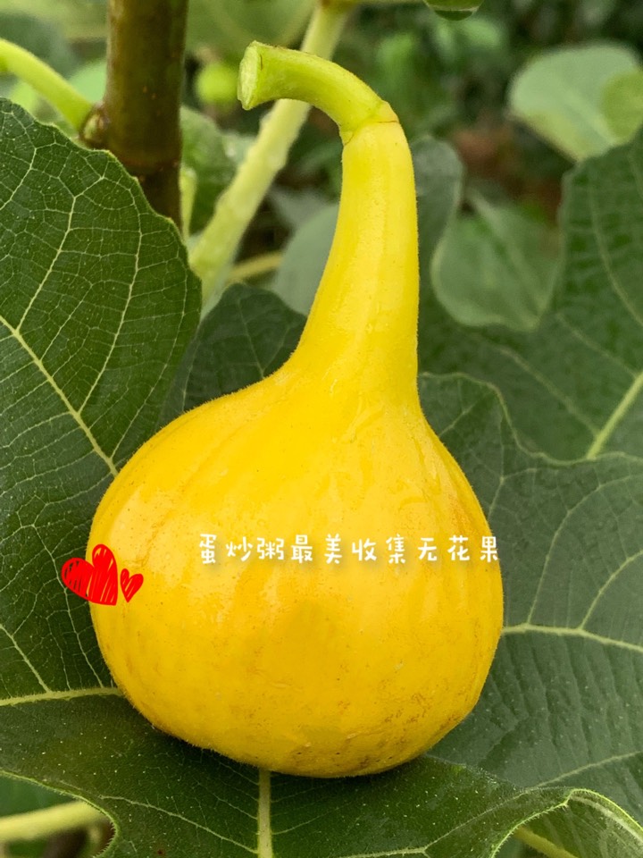 ҵ2021꣬ؼҿ3007 : 