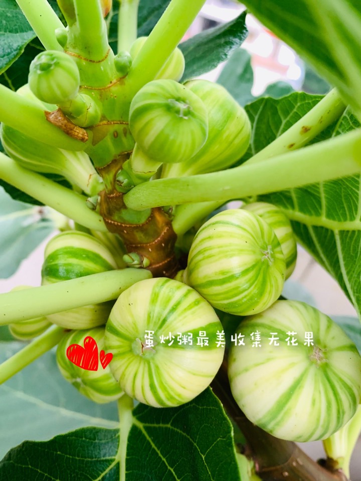 ҵ2021꣬ؼҿ1487 : 
