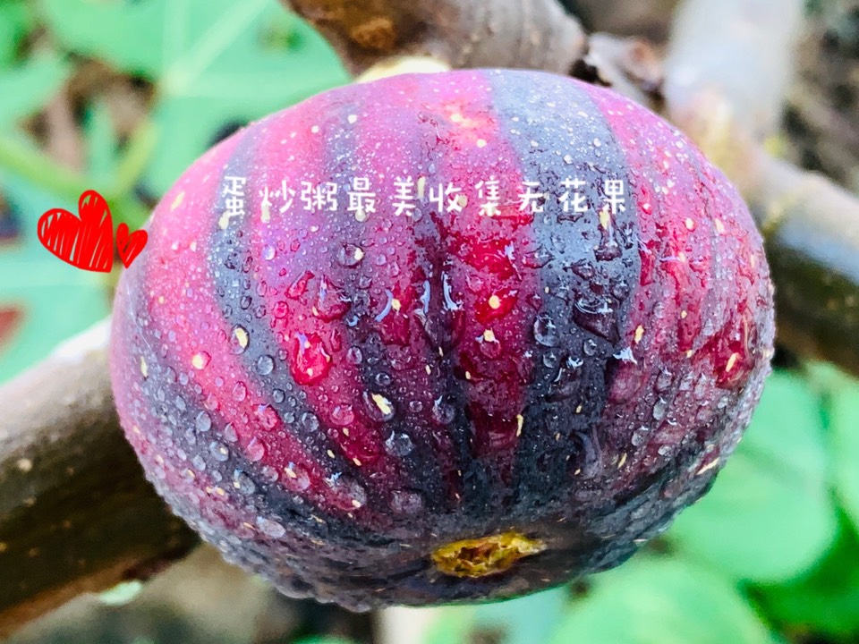 ҵ2021꣬ؼҿ5888 : 