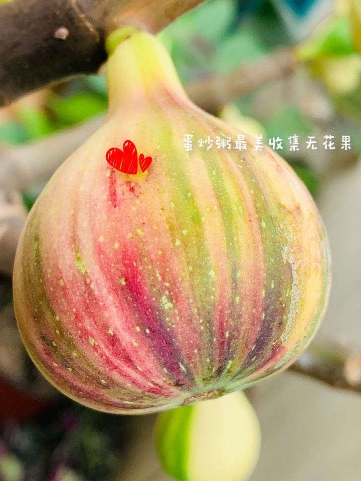 ҵ2021꣬ؼҿ2868 : 
