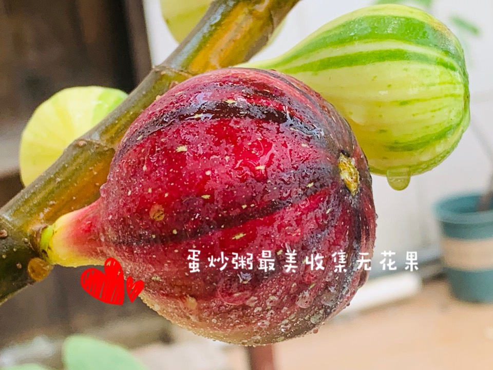 ҵ2021꣬ؼҿ2204 : 