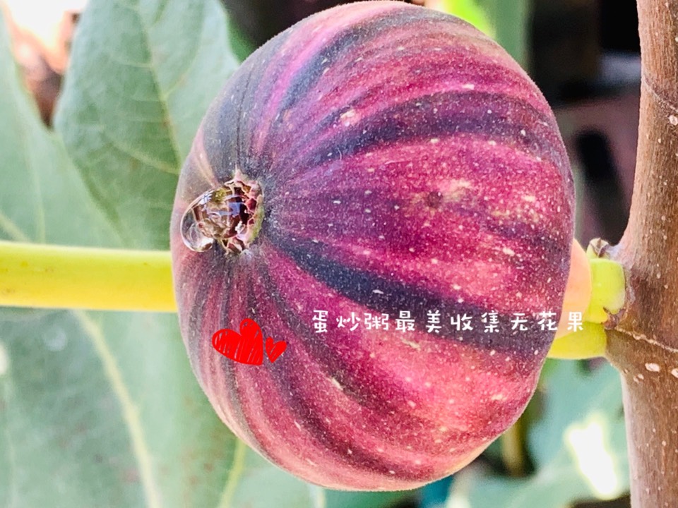 ҵ2021꣬ؼҿ2742 : 