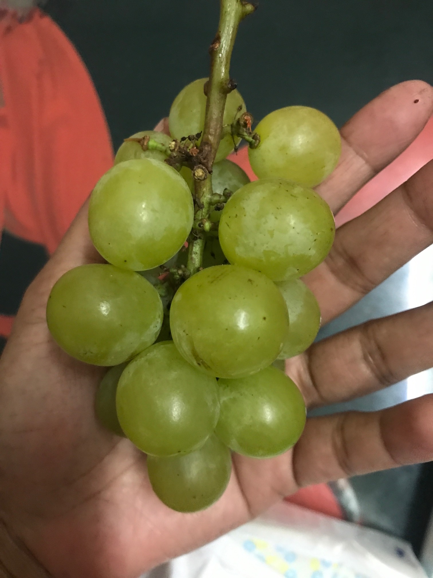 ҵ2021ԼֵѣĶҪů3592 :ѷƴ 