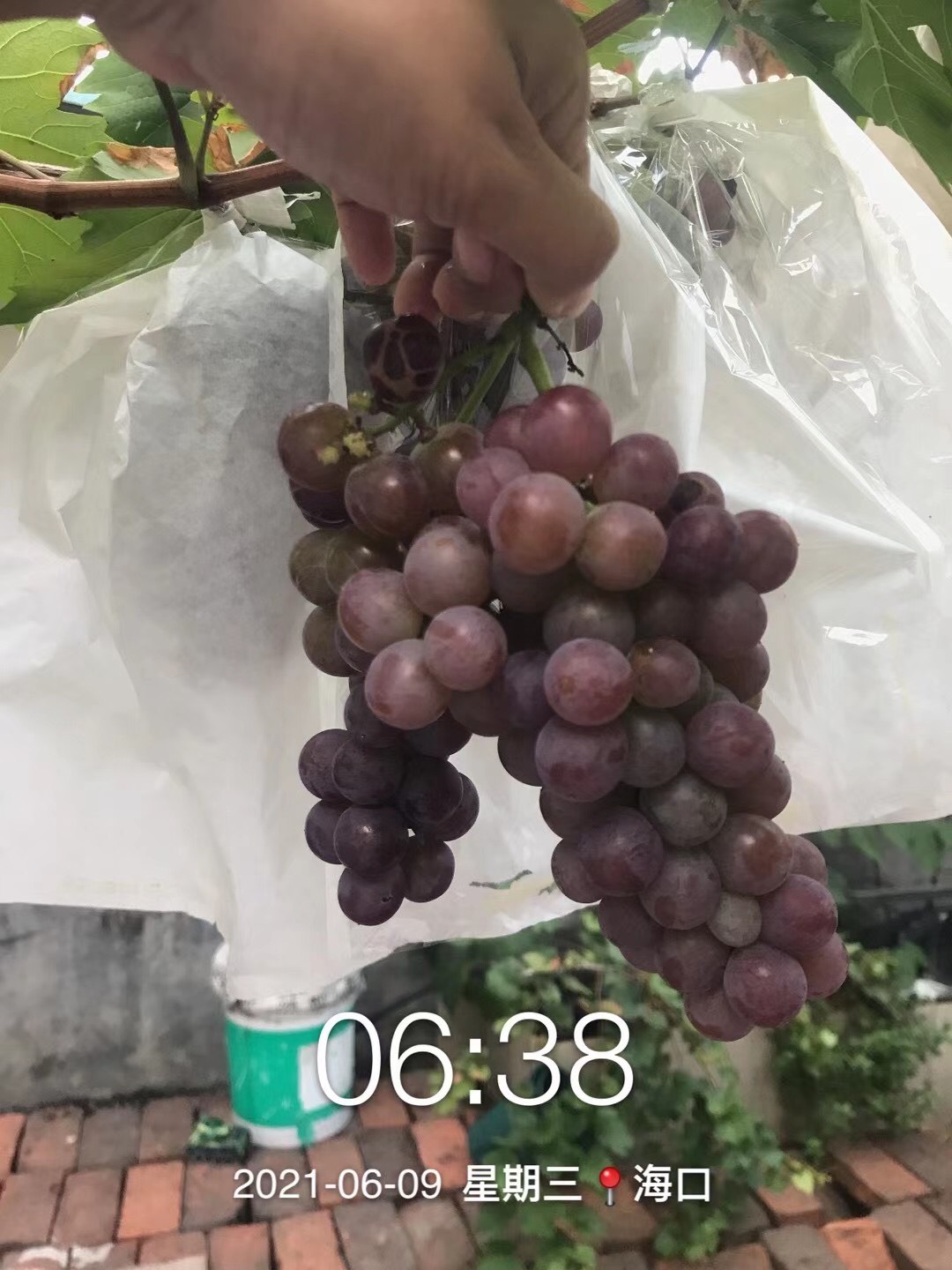 ҵ2021ԼֵѣĶҪů256 :ѷƴ 