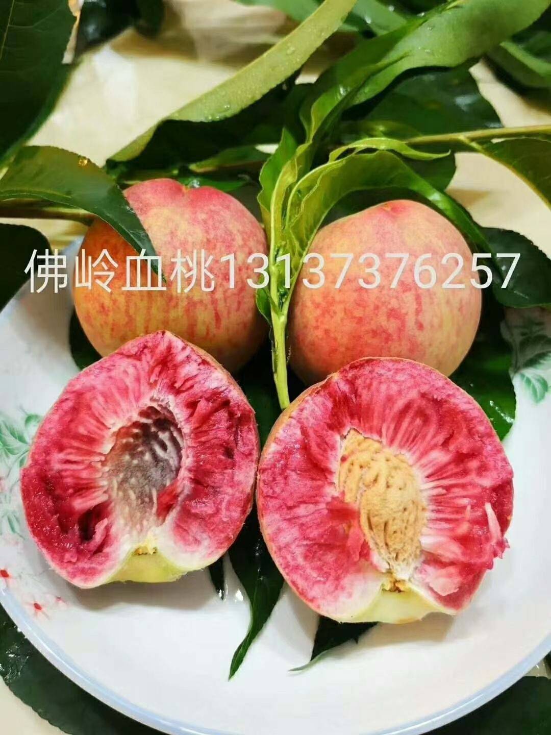 ӭѯ4348 :123457751 
