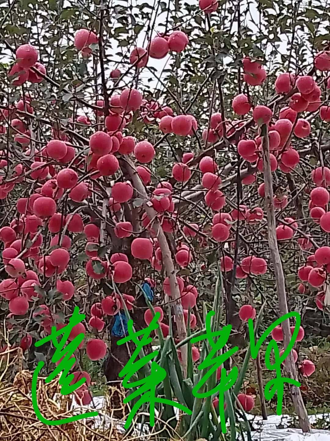 ҵ2021꣬ƻ˵5833 :rettr 