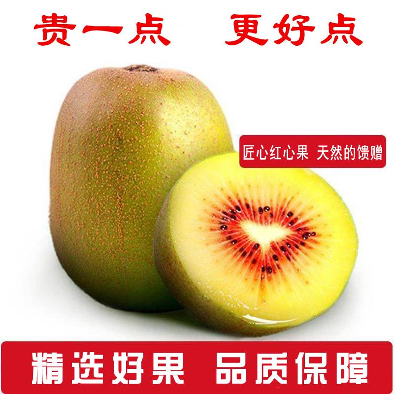 糡ĺ⨺9161 :Ҷ 
