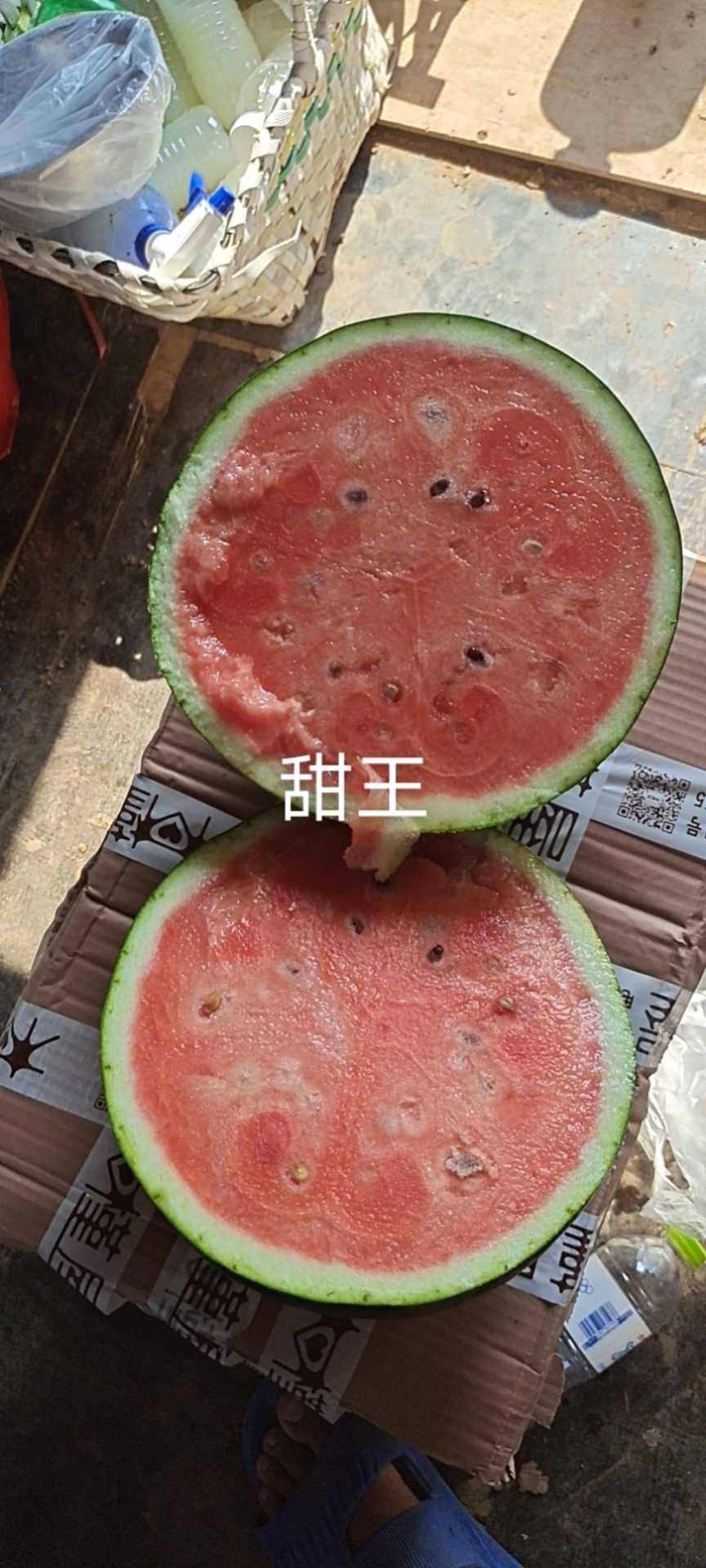ϣϹϣϣӣ2597 :ʯͷӲ854 