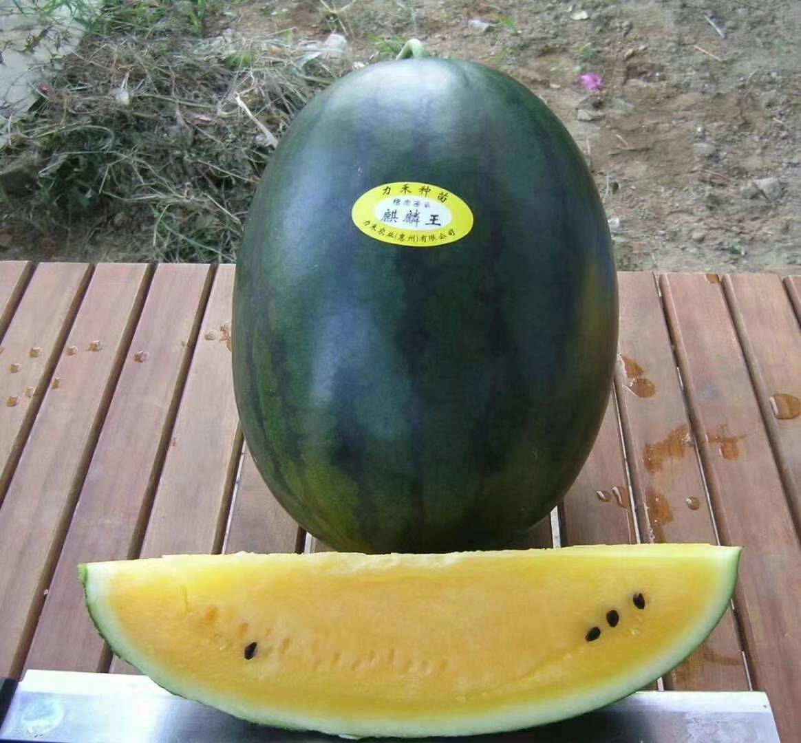 ϣϹϣϣӣ542 :ʯͷӲ854 
