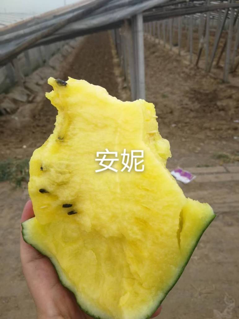 ϣϹϣϣӣ3711 :ʯͷӲ854 