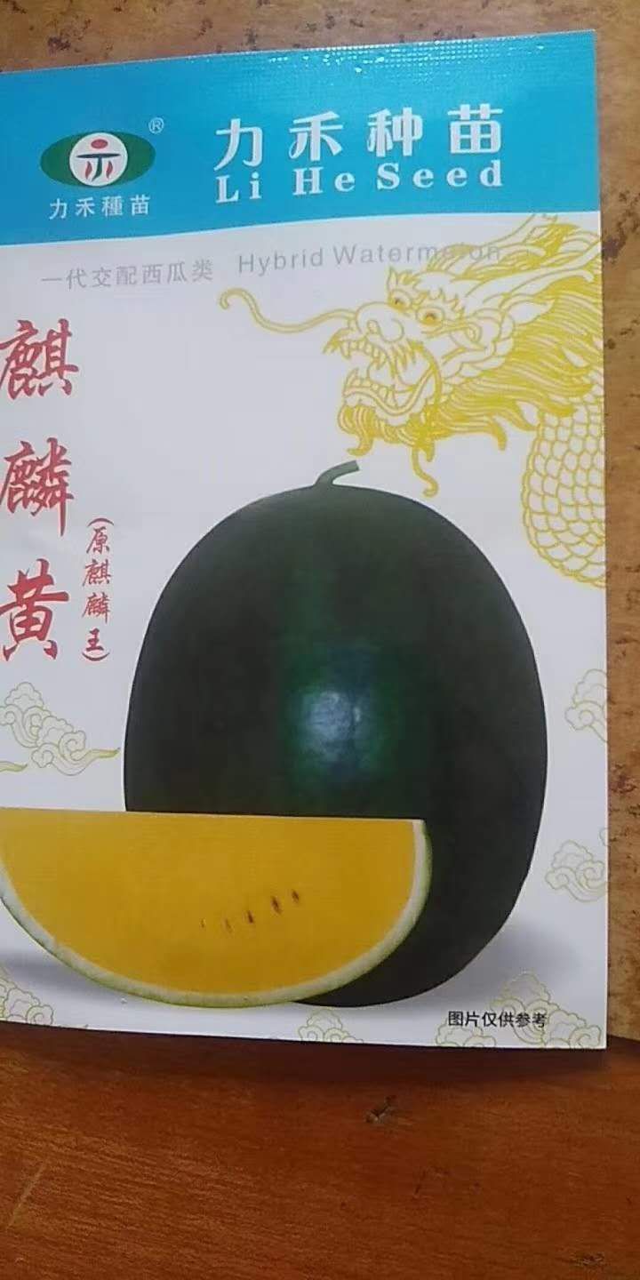 ϣϹϣϣӣ8025 :ӹŮ 