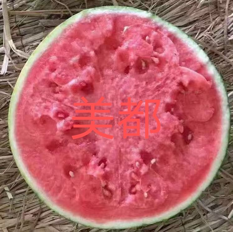 ϣϹϣϣӣ5730 :Կʱx 