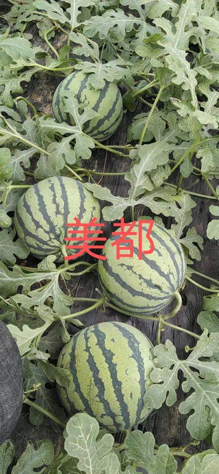 ϣϹϣϣӣ2108 :Կʱx 