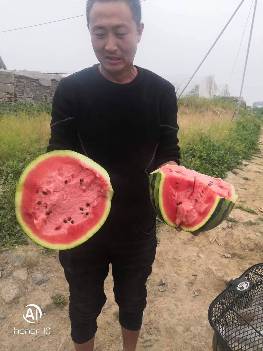 ϣϹϣϣӣ8418 :Կʱx 