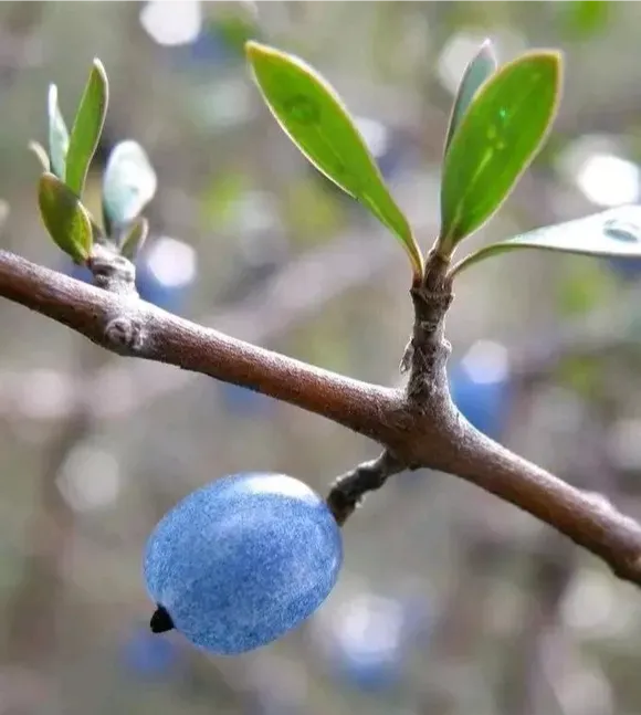 Ѱʯݮ ˭6671 :usimali 