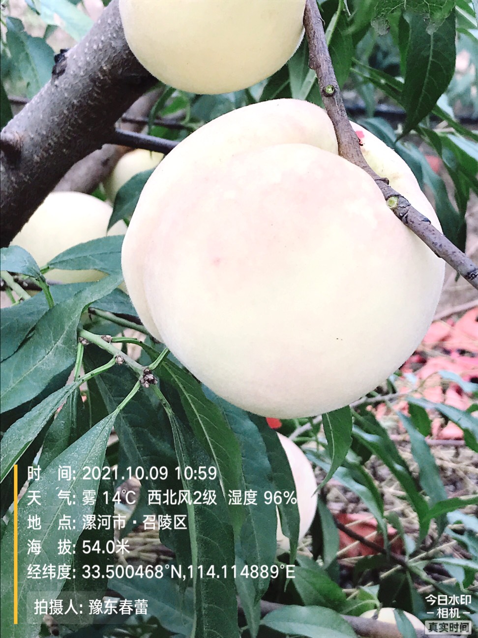 ҵ2021ջ9525 :gg 