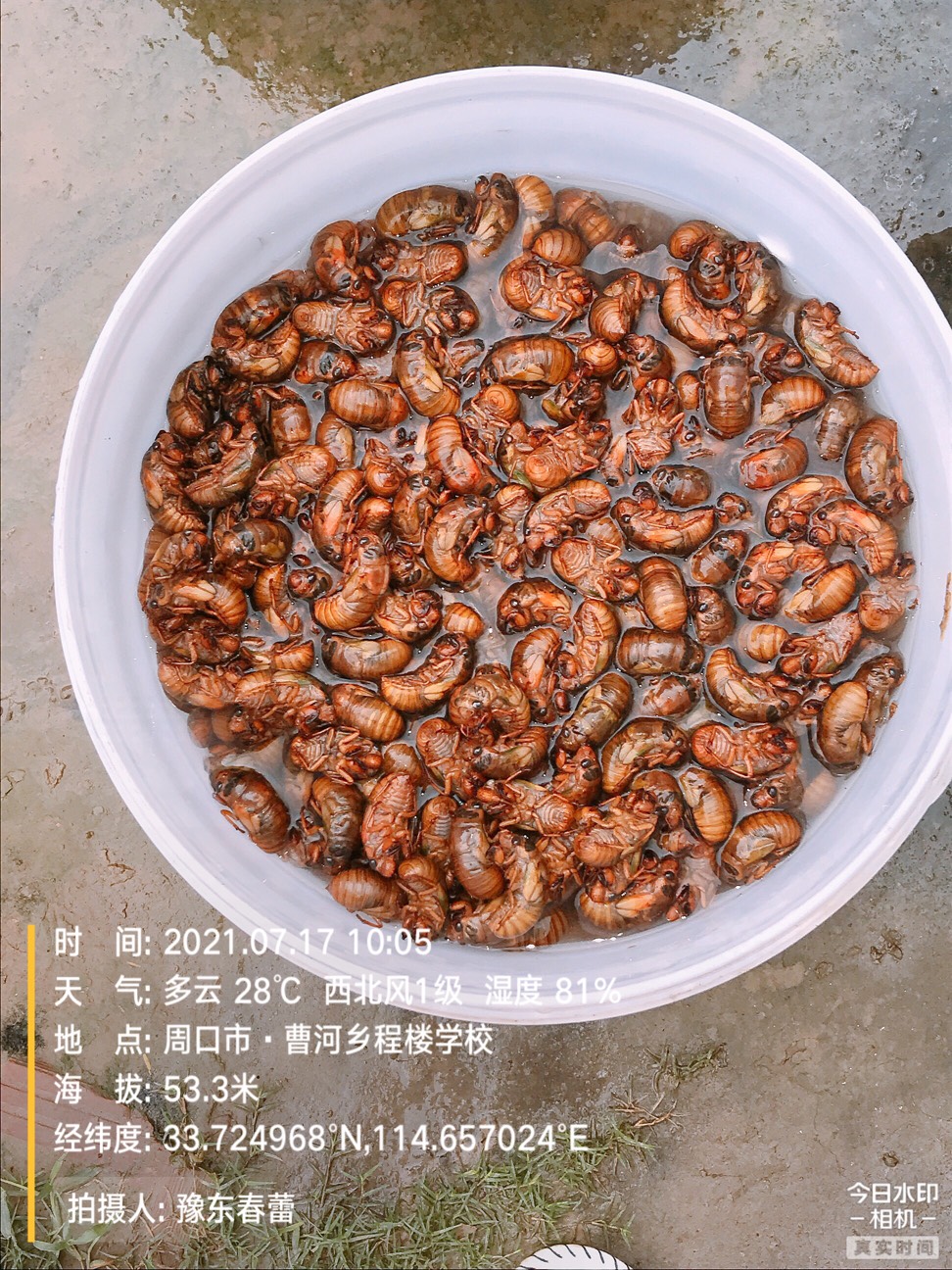 ҵ2021ջ4318 :gg 