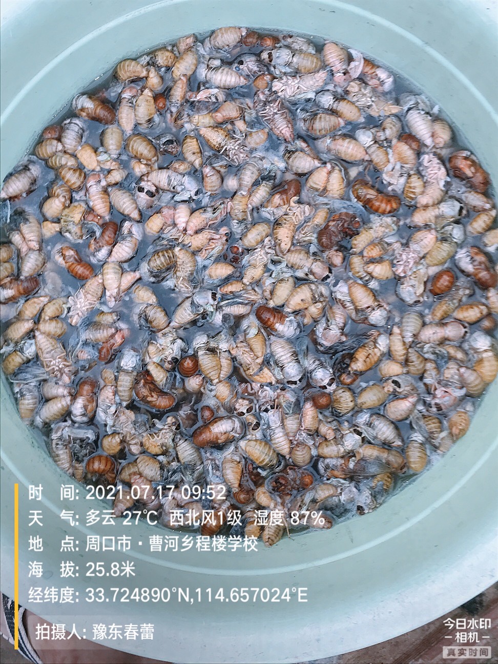ҵ2021ջ9291 :gg 