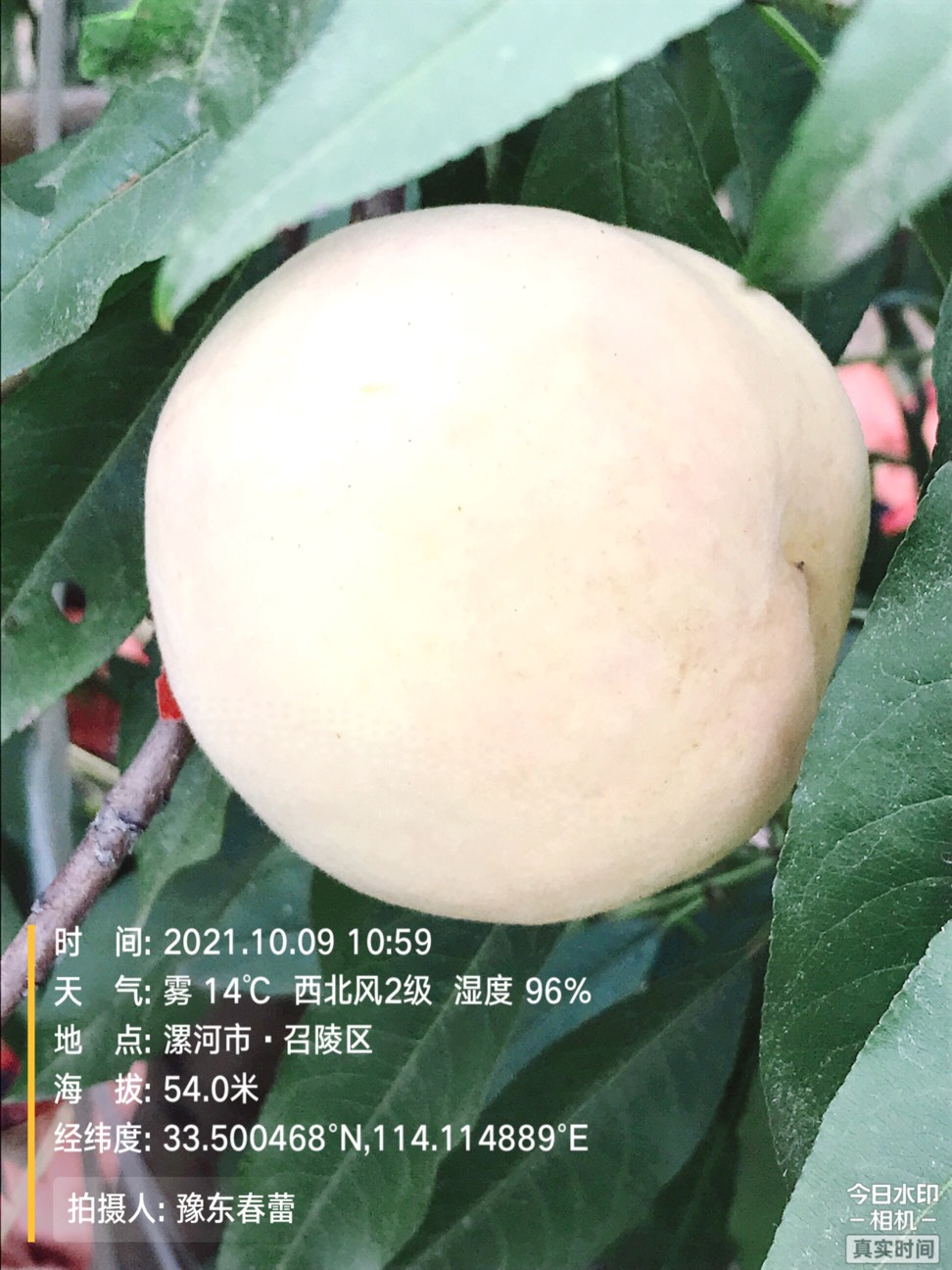 ҵ2021ջ5291 :gg 
