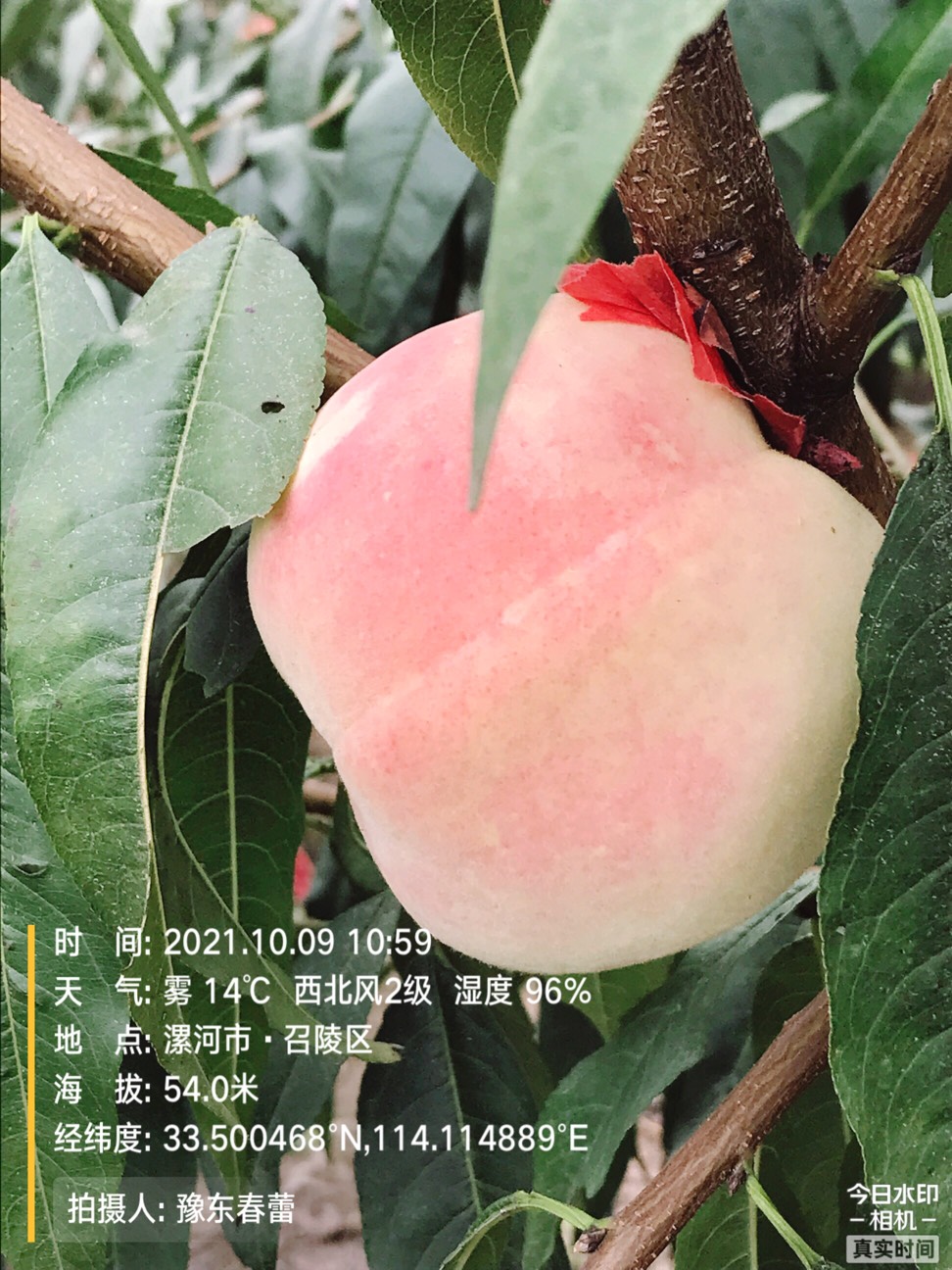ҵ2021ջ5051 :gg 