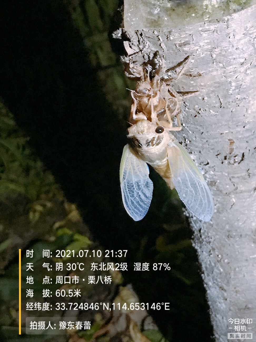 ҵ2021ջ2992 :gg 